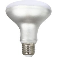   LED Izzók Silver Electronics R90 E27 Fehér Szürke A++ 12 W (5000 K) MOST 12793 HELYETT 7656 Ft-ért!