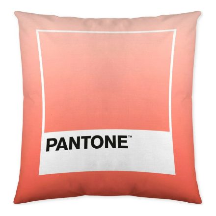 Párnahuzat Ombre B Pantone Localization-B086JQB7QD Megfordítható 50 x 50 cm MOST 13922 HELYETT 3530 Ft-ért!