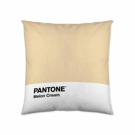 Párnahuzat Melon Cream Pantone 63836415 50 x 50 cm MOST 13922 HELYETT 3530 Ft-ért!