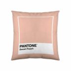   Párnahuzat Sweet Peach Pantone 50 x 50 cm MOST 13922 HELYETT 3530 Ft-ért!