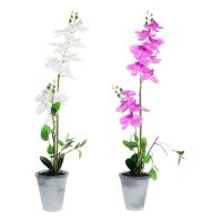   Dekor növény DKD Home Decor 8424001819430 21 x 21 x 82 cm Halványlila Fehér Orchidea (2 egység) MOST 43459 HELYETT 25431 Ft-ért!