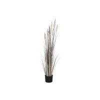   Dekor növény DKD Home Decor Juncus (35 x 35 x 120 cm) MOST 40102 HELYETT 18363 Ft-ért!