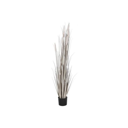 Dekor növény DKD Home Decor Juncus (45 x 45 x 150 cm) MOST 56159 HELYETT 35543 Ft-ért!