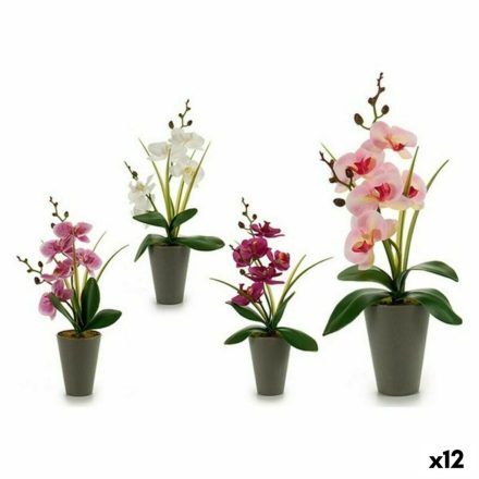 Dekor növény Ibergarden A18124-33 Műanyag Orchidea 8 x 35 x 14 cm (12 egység) MOST 32646 HELYETT 20033 Ft-ért!