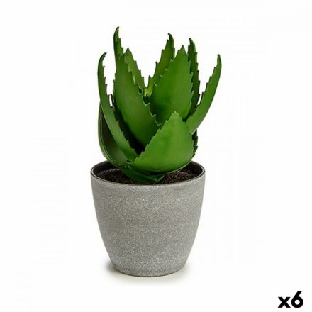 Dekor növény Aloe vera 15 x 23,5 x 15 cm Szürke Zöld Műanyag (6 egység) MOST 30512 HELYETT 19570 Ft-ért!