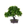 Dekor növény Bonsai Műanyag 27 x 28 x 14 cm (8 egység) MOST 42995 HELYETT 26382 Ft-ért!