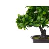 Dekor növény Bonsai Műanyag 27 x 28 x 14 cm (8 egység) MOST 42995 HELYETT 26382 Ft-ért!