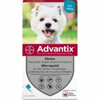   Parazitaellenes Advantix Kutya 4-10 kg 6 egység MOST 44147 HELYETT 32087 Ft-ért!