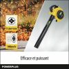 ventilátor Powerplus Powxg50400 Benzin 26,5 cc 198 km/h MOST 113648 HELYETT 92937 Ft-ért!