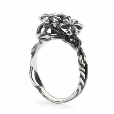 Nőigyűrű Trollbeads TAGRI-00304 14 MOST 115728 HELYETT 87092 Ft-ért!