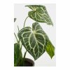 Dekor növény Mica Decorations Caladium Ø 21 x 28 cm Mesterséges MOST 14896 HELYETT 8913 Ft-ért!