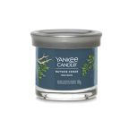   Illatosított Gyertya Yankee Candle Bayside Cedar 122 ml MOST 10140 HELYETT 6068 Ft-ért!