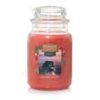   Illatosított Gyertya Yankee Candle Cliffside Sunrise 623 g MOST 22050 HELYETT 14493 Ft-ért!