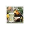 Illatosított Gyertya Yankee Candle Sage & Citrus 567 g MOST 23853 HELYETT 15684 Ft-ért!