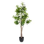   Dekor növény Zöld PVC 145 cm Peperomia MOST 83453 HELYETT 50640 Ft-ért!