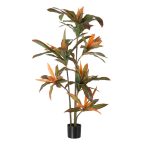   Dekor növény Dracaena Barna Zöld PVC 140 cm MOST 61797 HELYETT 37924 Ft-ért!