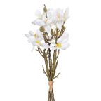   csokor Fehér Zöld 37 x 20 x 41 cm Magnolia MOST 9660 HELYETT 5779 Ft-ért!