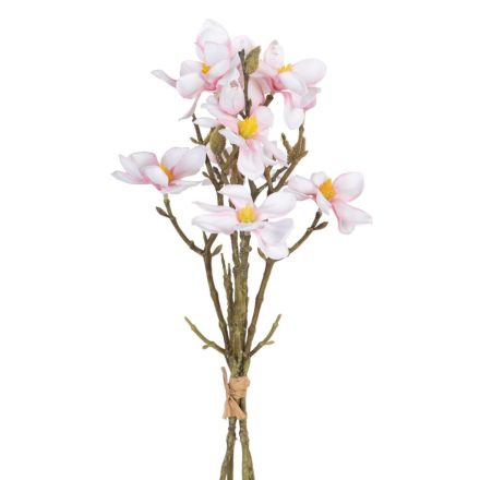 csokor Zöld Rózsaszín 37 x 20 x 41 cm Magnolia MOST 10650 HELYETT 6374 Ft-ért!