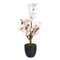   Dekor növény Poliészter Polietilén Vas 30 x 30 x 60 cm Magnolia MOST 28006 HELYETT 17966 Ft-ért!