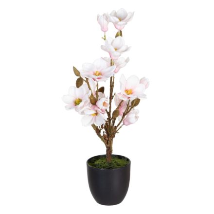 Dekor növény Poliészter Polietilén Vas 30 x 30 x 60 cm Magnolia MOST 28006 HELYETT 17966 Ft-ért!