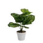   Dekor növény Polietilén Műanyag Calathea 28 x 28 x 37 cm MOST 11988 HELYETT 7176 Ft-ért!