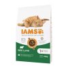 Macska eledel IAMS Advanced Nutrition Cat Adult Bárány 10 kg MOST 31216 HELYETT 21273 Ft-ért!