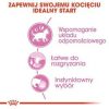 Macska eledel Royal Canin Kitten Jelly Csirke 85 g MOST 20736 HELYETT 13964 Ft-ért!