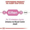 Macska eledel Royal Canin Kitten Jelly Csirke 85 g MOST 20736 HELYETT 13964 Ft-ért!