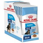   Nedves étel Royal Canin Maxi Puppy 10 x 140 g MOST 18825 HELYETT 11550 Ft-ért!