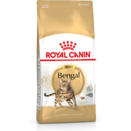 Macska eledel Royal Canin Bengal Adult Felnőtt Zöldség madarak 10 kg MOST 76616 HELYETT 60280 Ft-ért!