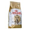 Macska eledel Royal Canin Bengal Adult Felnőtt Zöldség madarak 2 Kg MOST 28679 HELYETT 19545 Ft-ért!