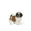 Takarmány Royal Canin Shih Tzu Puppy Kölyök/Fiatal Zöldség 500 g MOST 8175 HELYETT 4894 Ft-ért!