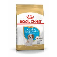   Takarmány Royal Canin Cavalier King Charles Spaniel Puppy 1,5 Kg MOST 17224 HELYETT 11600 Ft-ért!