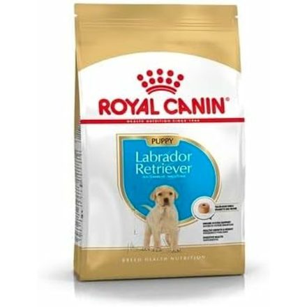 Takarmány Royal Canin Kölyök/Fiatal 3 Kg MOST 24502 HELYETT 16502 Ft-ért!