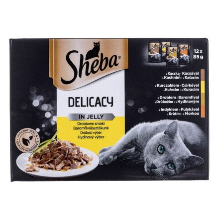 Macska eledel Sheba Delicacy in Jelly Csirke Pulyka Kacsa madarak 100 g MOST 7688 HELYETT 4721 Ft-ért!