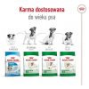 Takarmány Royal Canin Adult Mini S madarak 4 Kg MOST 29027 HELYETT 19785 Ft-ért!