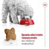 Takarmány Royal Canin Adult Mini S madarak 4 Kg MOST 29027 HELYETT 19785 Ft-ért!