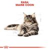 Macska eledel Royal Canin Maine Coon Adult 12 x 85 g MOST 20968 HELYETT 14121 Ft-ért!