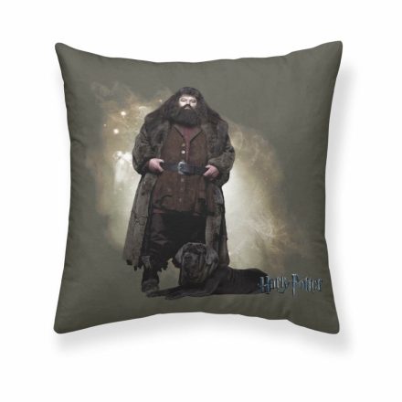 Párnahuzat Harry Potter Hagrid Többszínű 50 x 50 cm MOST 13025 HELYETT 6217 Ft-ért!