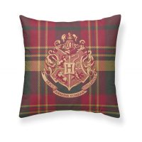   Párnahuzat Harry Potter Hogwarts Cuadros Többszínű 50 x 50 cm MOST 13025 HELYETT 6217 Ft-ért!