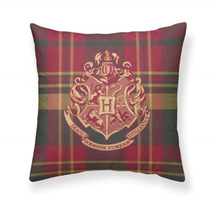 Párnahuzat Harry Potter Hogwarts Cuadros Többszínű 50 x 50 cm MOST 13025 HELYETT 6217 Ft-ért!