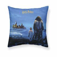   Párnahuzat Harry Potter Philosopher's Stone Többszínű 50 x 50 cm MOST 13025 HELYETT 6217 Ft-ért!