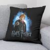 Párnahuzat Harry Potter Ron Weasley Fekete Többszínű 50 x 50 cm MOST 13025 HELYETT 6217 Ft-ért!