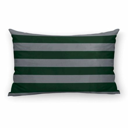 Párnahuzat Harry Potter Slytherin Values Többszínű 30 x 50 cm MOST 12274 HELYETT 5614 Ft-ért!