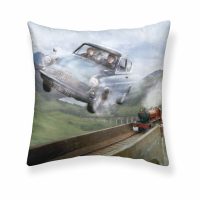   Párnahuzat Harry Potter Weasley Car Többszínű 50 x 50 cm MOST 13025 HELYETT 6217 Ft-ért!