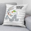 Párnahuzat Looney Tunes Looney Characters A Többszínű 45 x 45 cm MOST 13025 HELYETT 5920 Ft-ért!